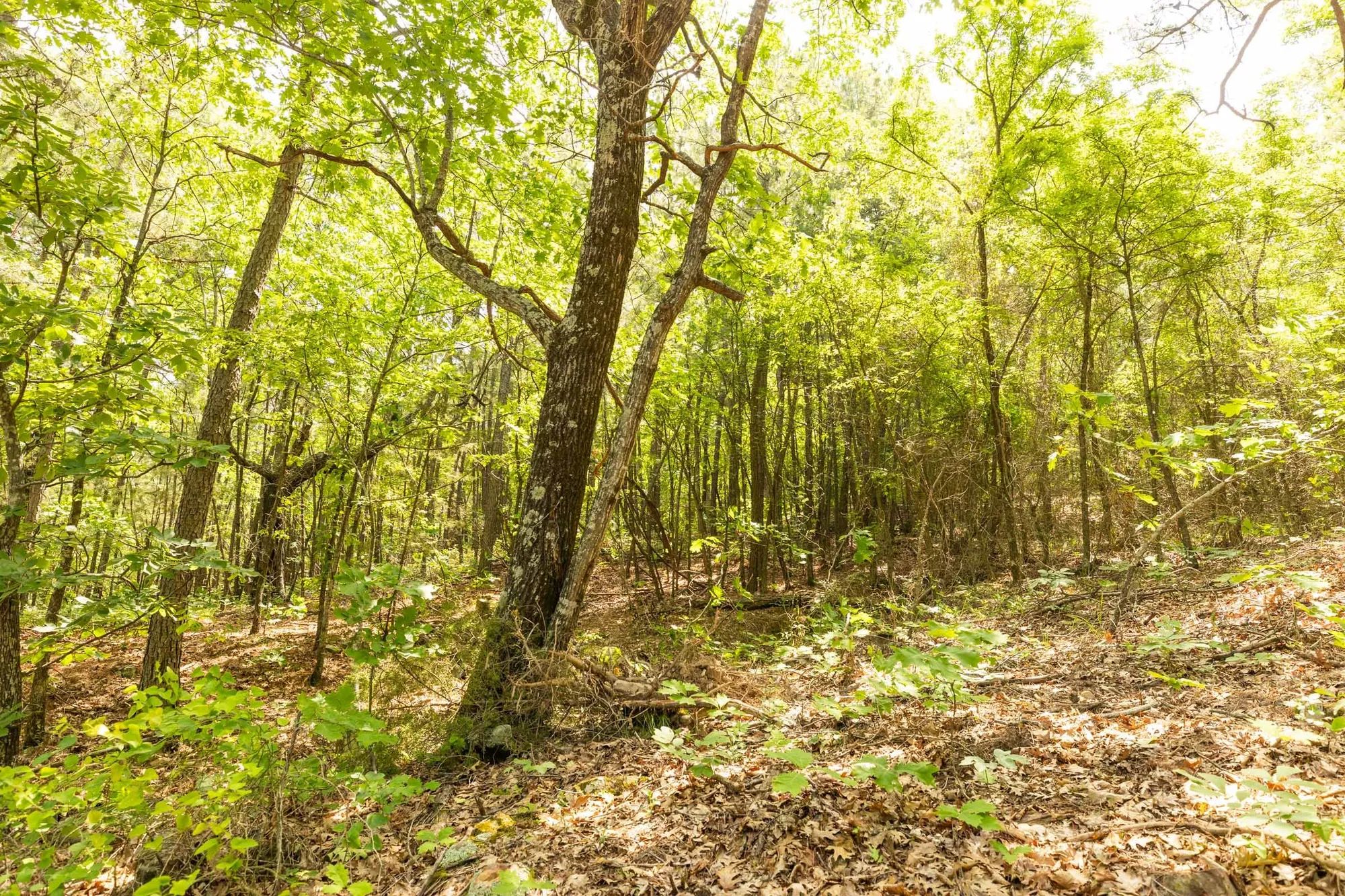 Stone Bridge Reserve Tract 34 in Latimer County, OK