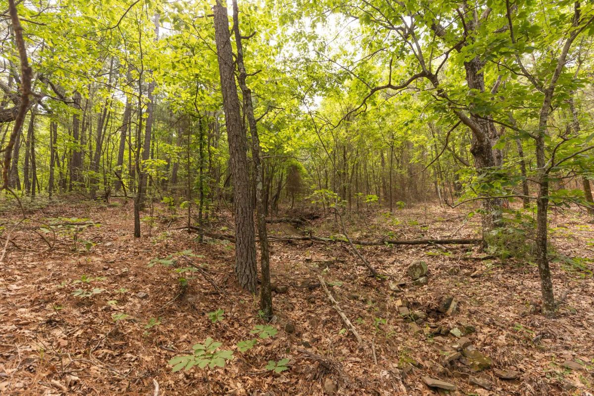 Decorative background for Stone Bridge Reserve Tract 34 image 5