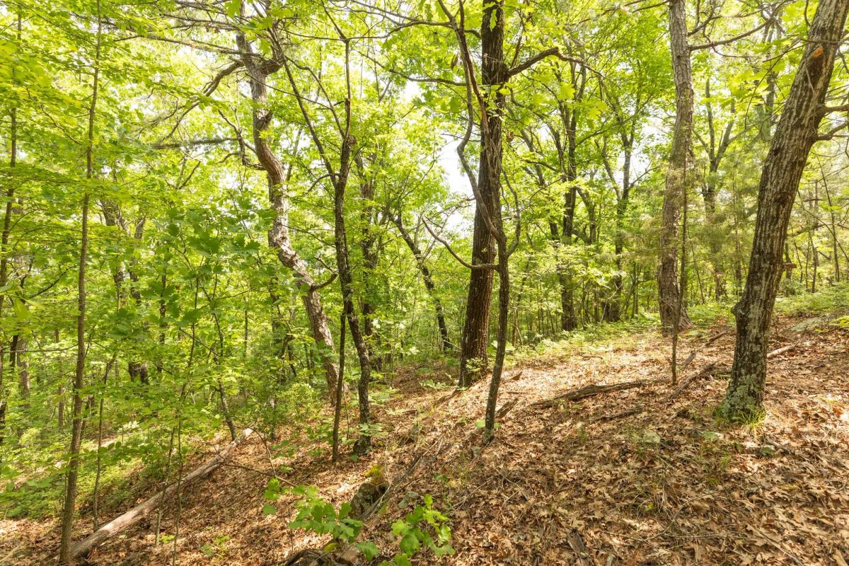 Decorative background for Stone Bridge Reserve Tract 34 image 6