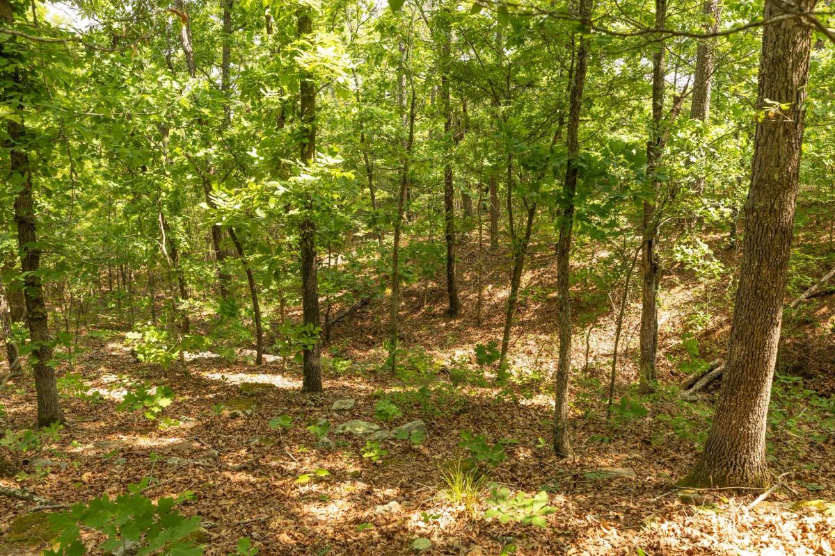 Decorative background for Stone Bridge Reserve Tract 34 image 8