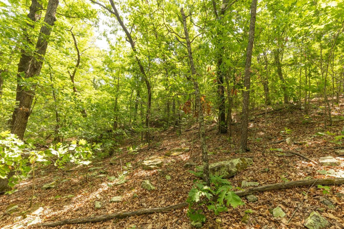 Decorative background for Stone Bridge Reserve Tract 34 image 9