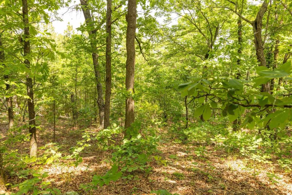 Decorative background for Stone Bridge Reserve Tract 34 image 10