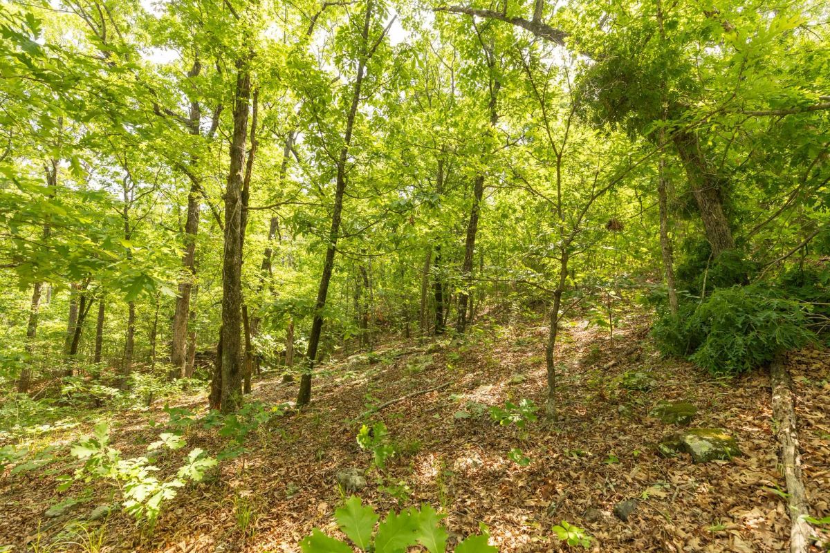 Decorative background for Stone Bridge Reserve Tract 34 image 11