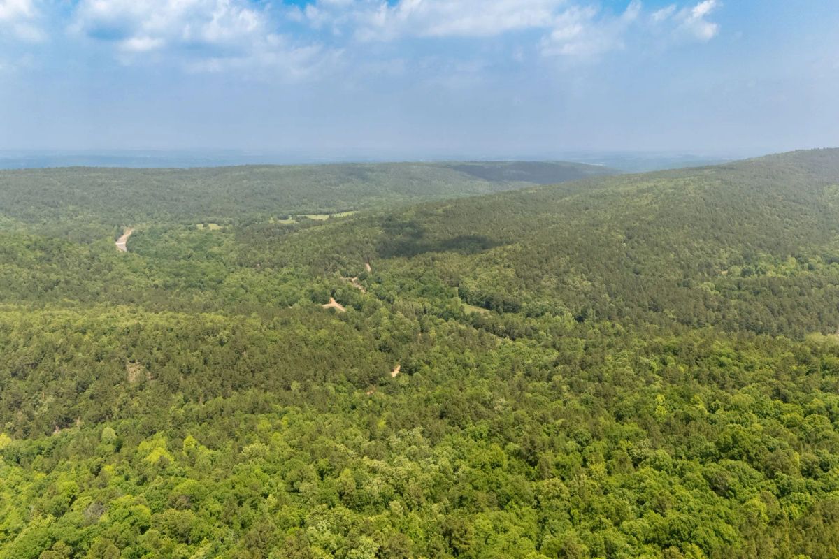 Decorative background for Stone Bridge Reserve Tract 34 image 13