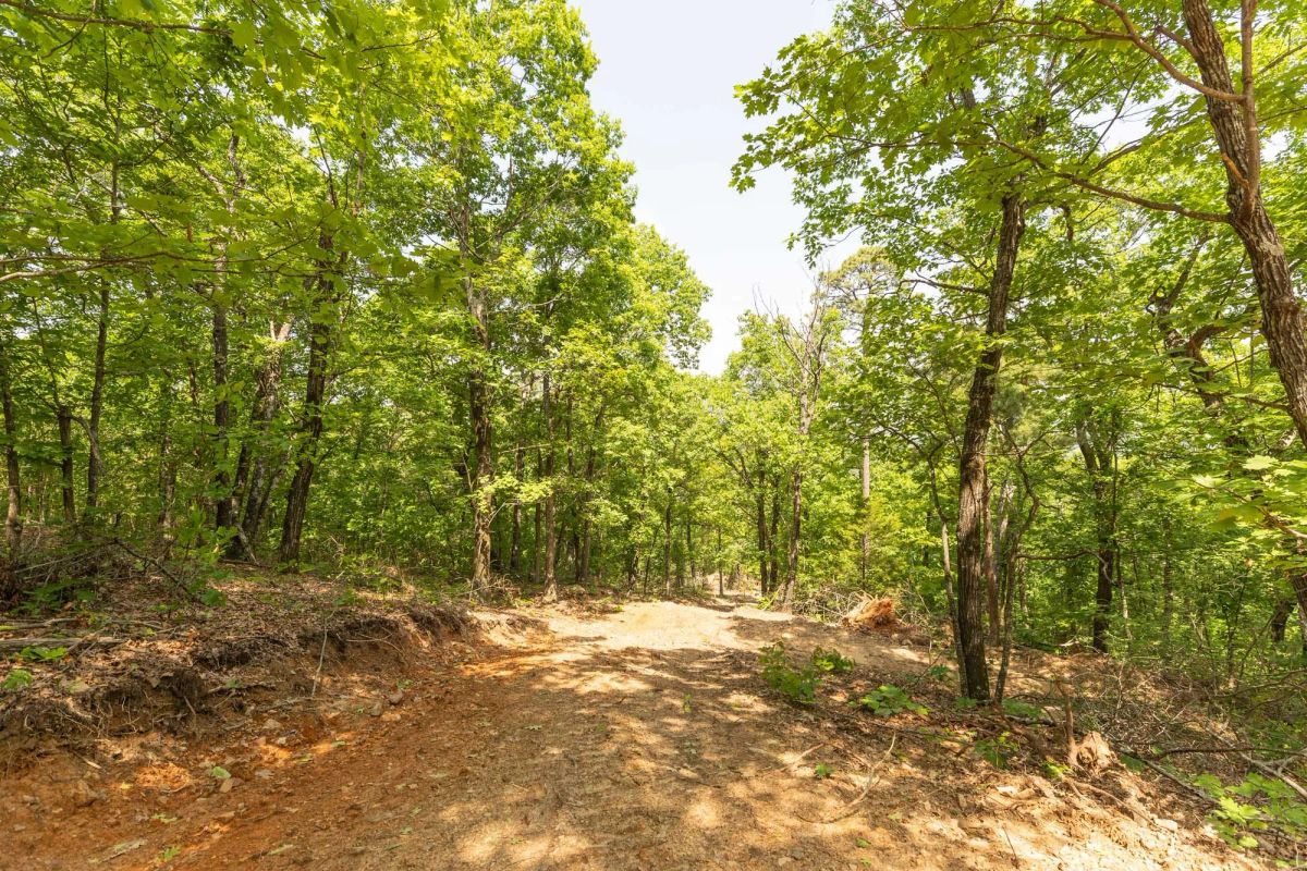 Decorative background for Stone Bridge Reserve Tract 34 image 14