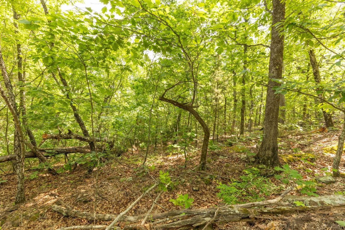 Decorative background for Stone Bridge Reserve Tract 34 image 15
