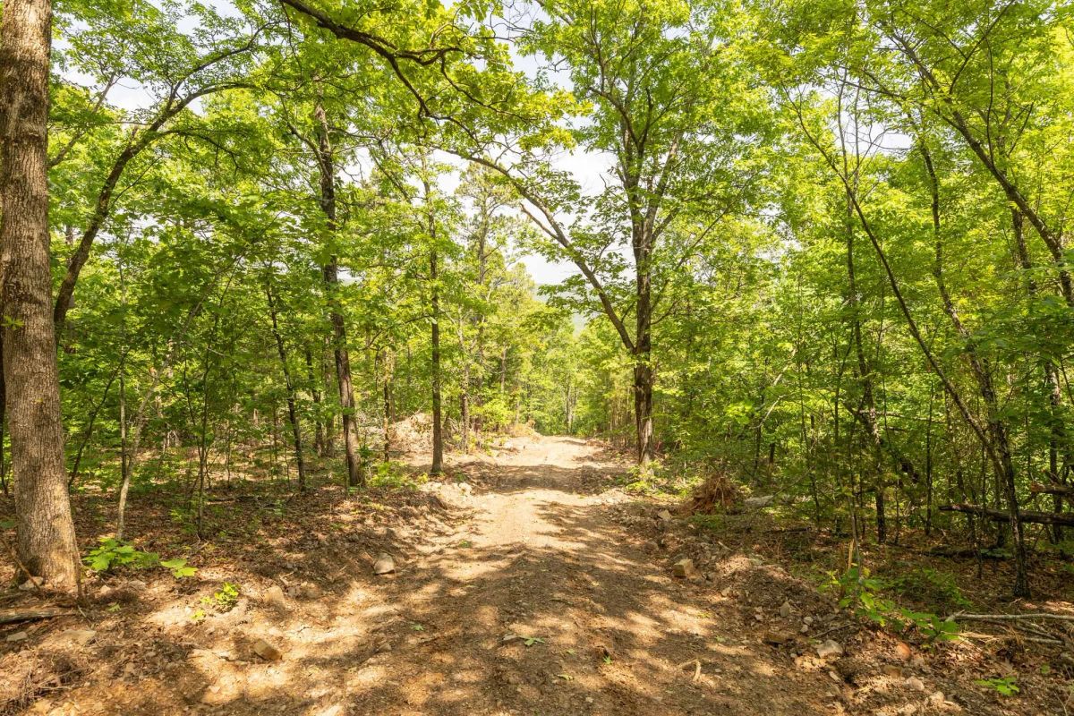 Decorative background for Stone Bridge Reserve Tract 34 image 16