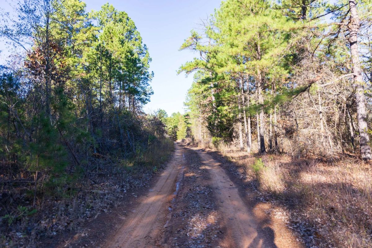 Stone Bridge Reserve Tract 31 - Image 2