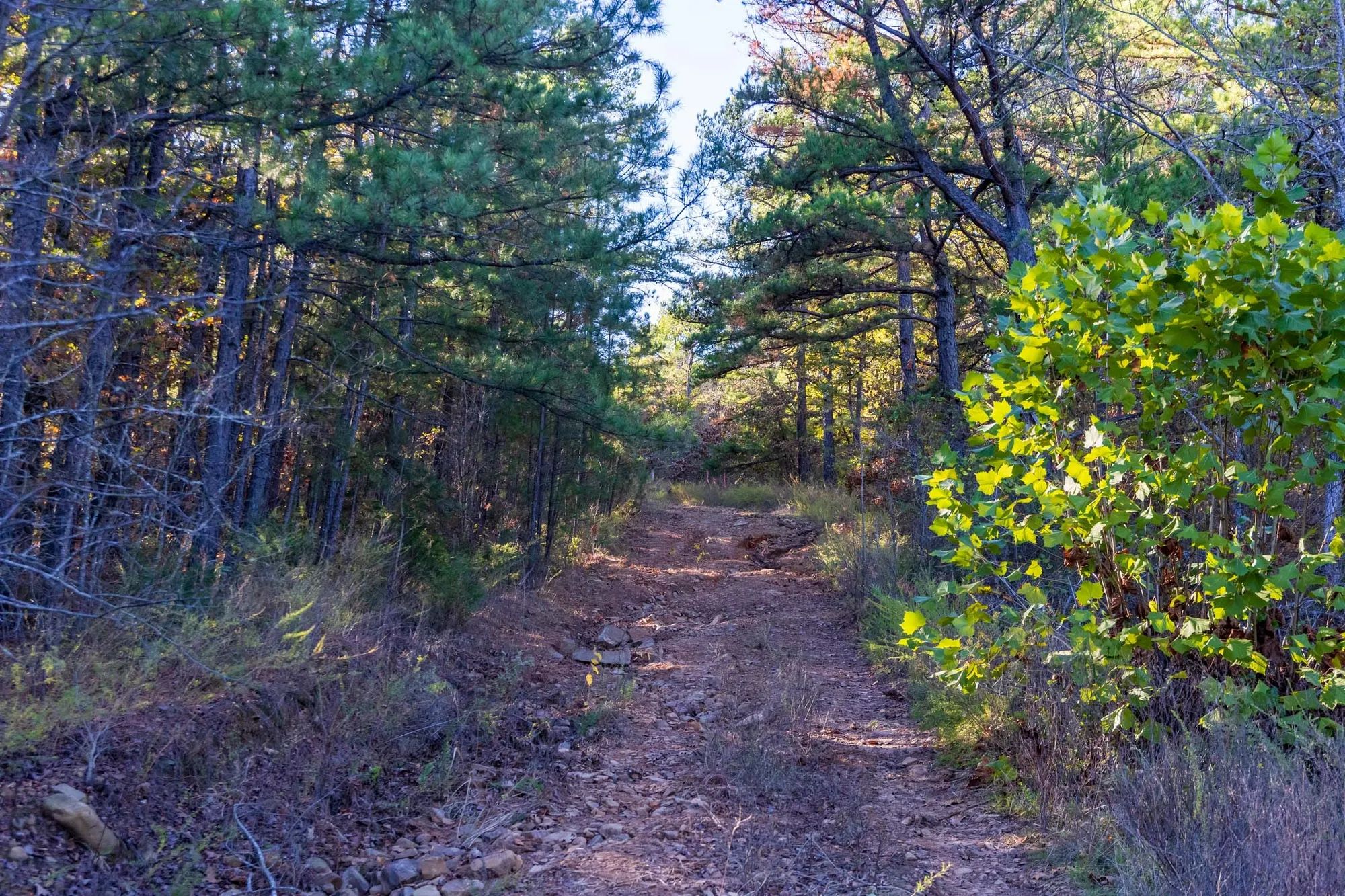Stone Bridge Reserve Tract 31 in Haskell County, OK