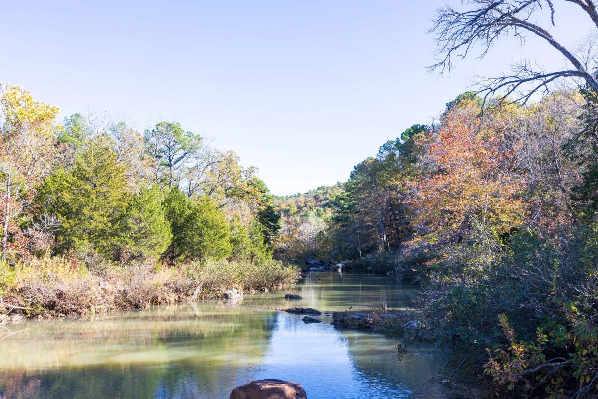 Decorative background for Stone Bridge Reserve Tract 31 image 5