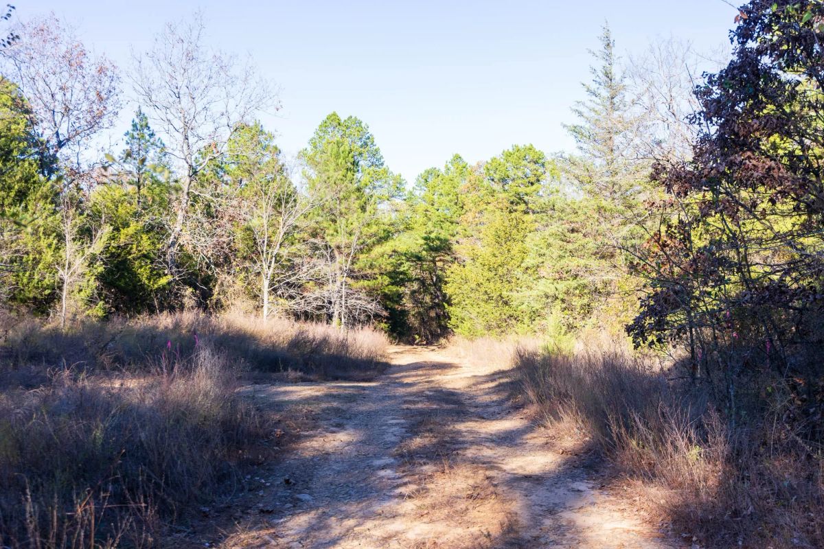 Decorative background for Stone Bridge Reserve Tract 31 image 6