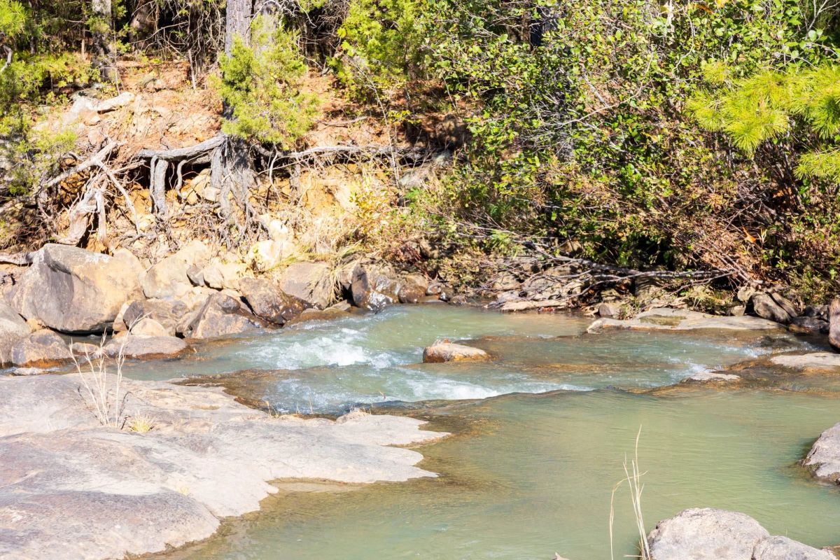 Decorative background for Stone Bridge Reserve Tract 31 image 11