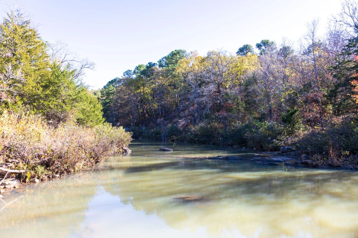 Decorative background for Stone Bridge Reserve Tract 31 image 14