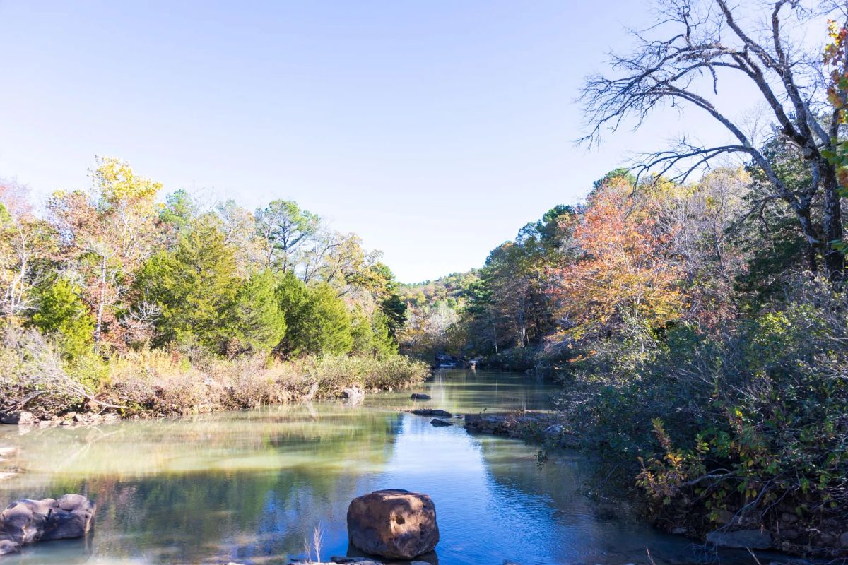 Decorative background for Stone Bridge Reserve Tract 31 image 16