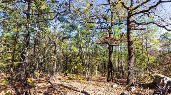 Stone Bridge Reserve Tract 27 in Haskell County, OK
