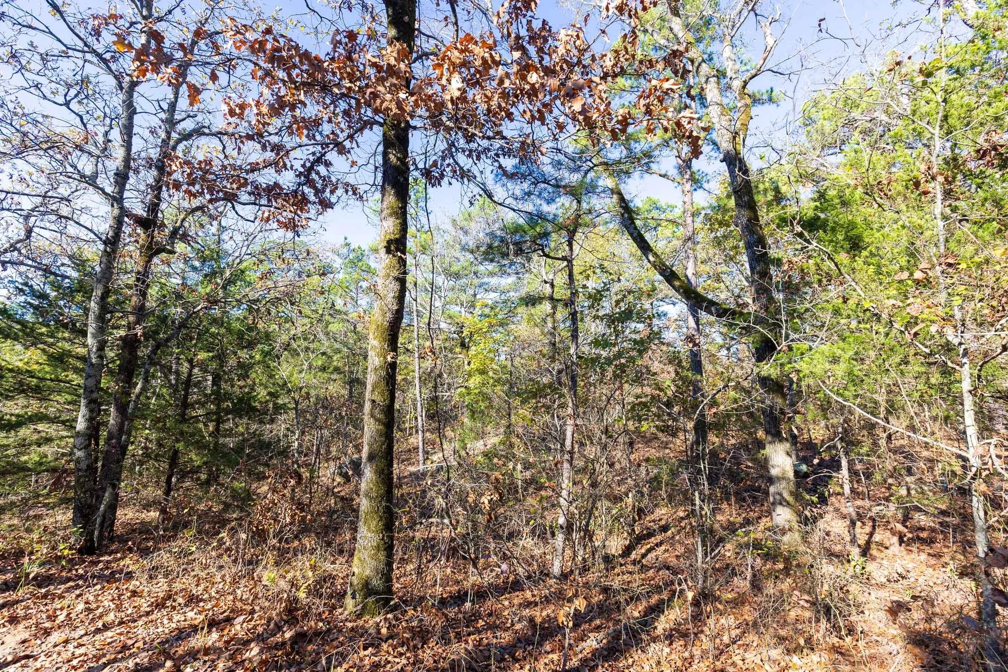 Stone Bridge Reserve Tract 27 in Haskell County, OK