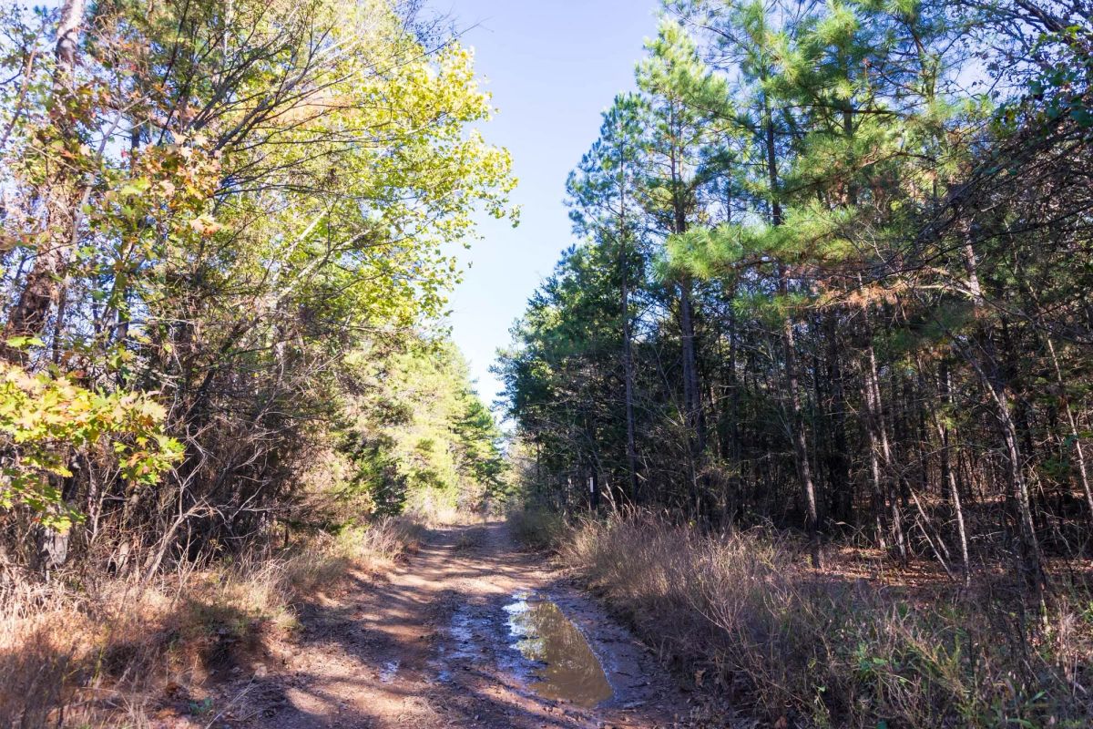 Decorative background for Stone Bridge Reserve Tract 27 image 5