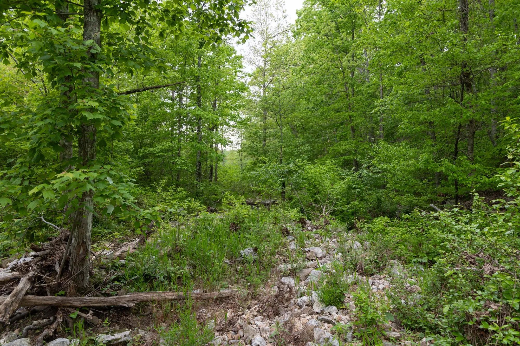 Sleepy Hollow Phase II Tract 75 in Texas County, MO