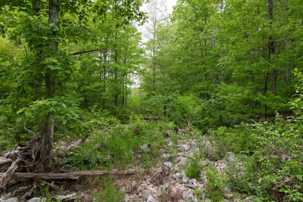 Sleepy Hollow Phase II Tract 75 - Image 2