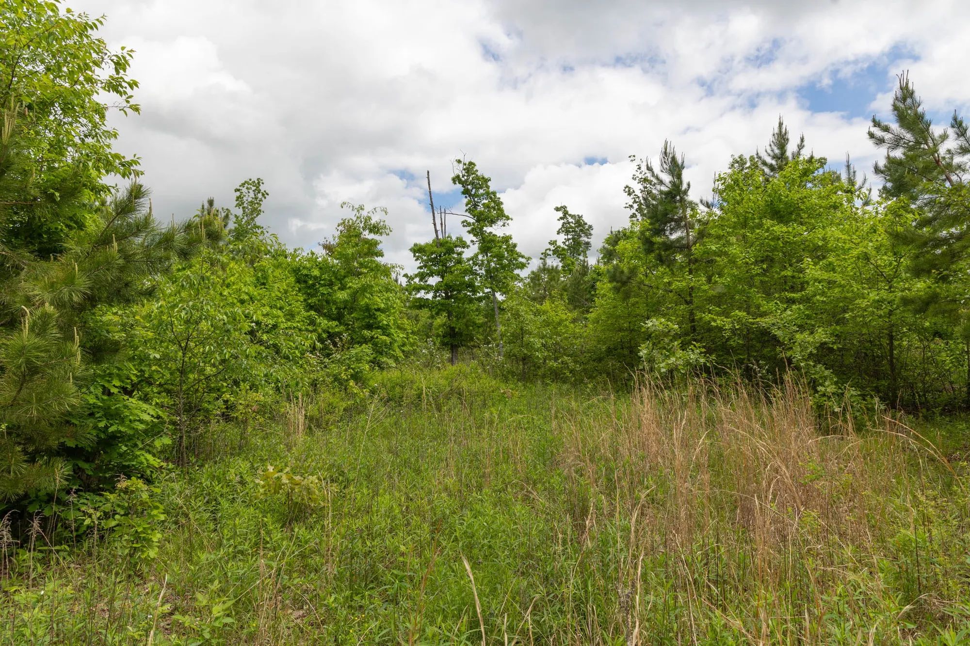 Sleepy Hollow Phase II Tract 75 in Texas County, MO