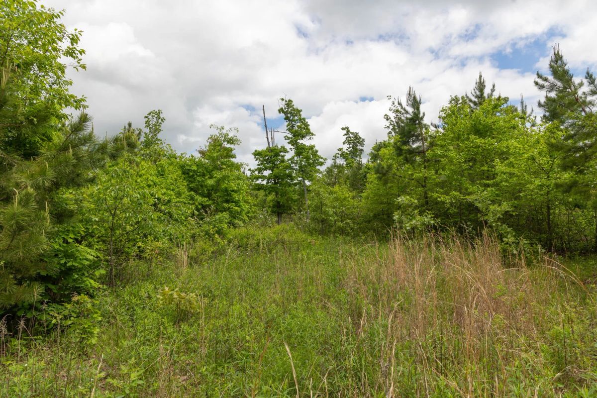 Sleepy Hollow Phase II Tract 75 - Image 3