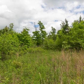 Sleepy Hollow Phase II Tract 75 in Texas County, MO