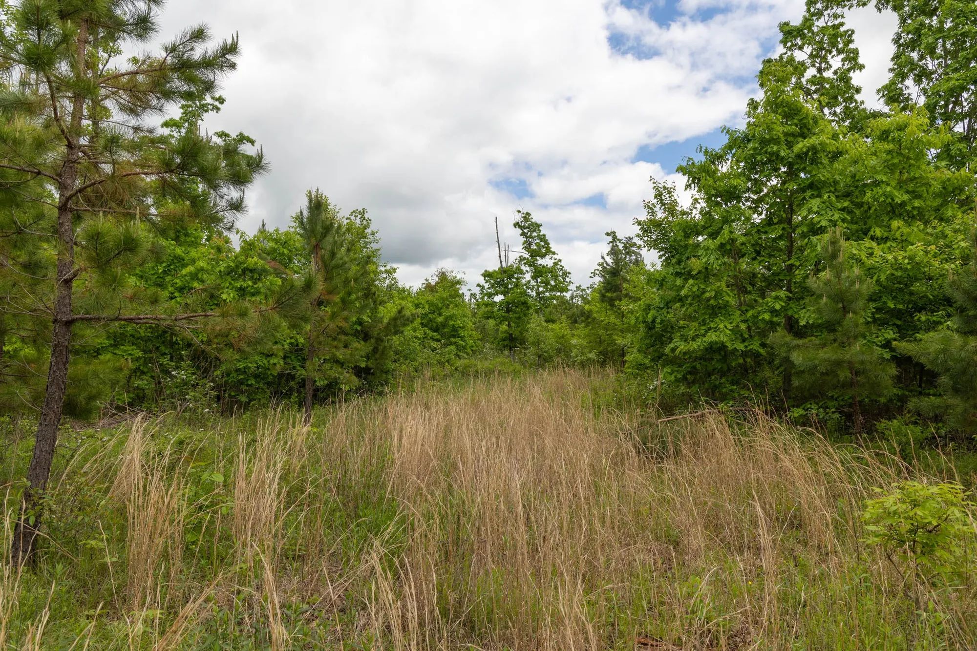 Sleepy Hollow Phase II Tract 75 in Texas County, MO