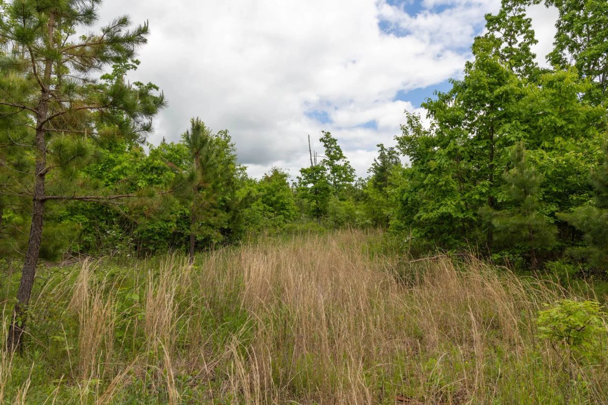 Sleepy Hollow Phase II Tract 75 - Image 4