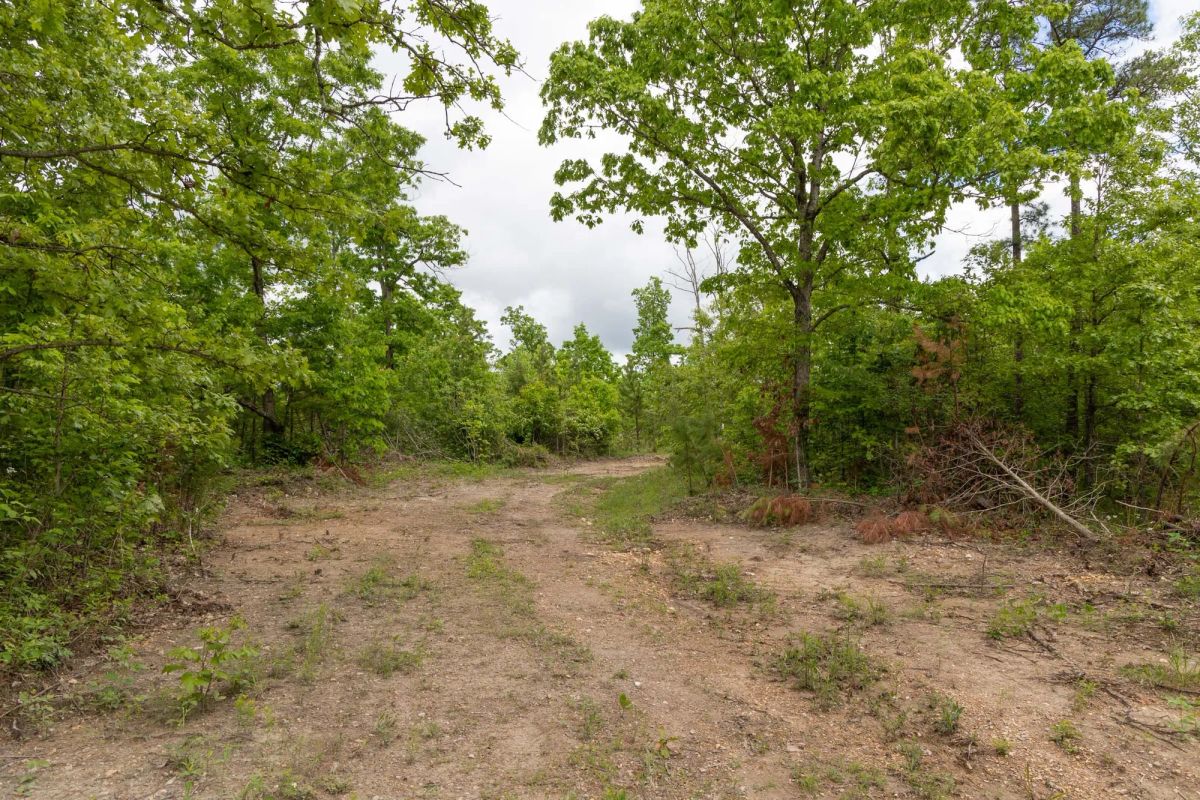 Decorative background for Sleepy Hollow Phase II Tract 75 image 5