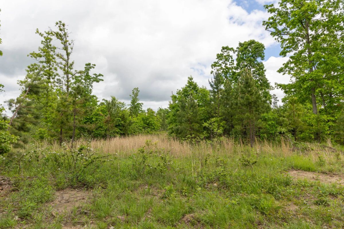 Decorative background for Sleepy Hollow Phase II Tract 75 image 9