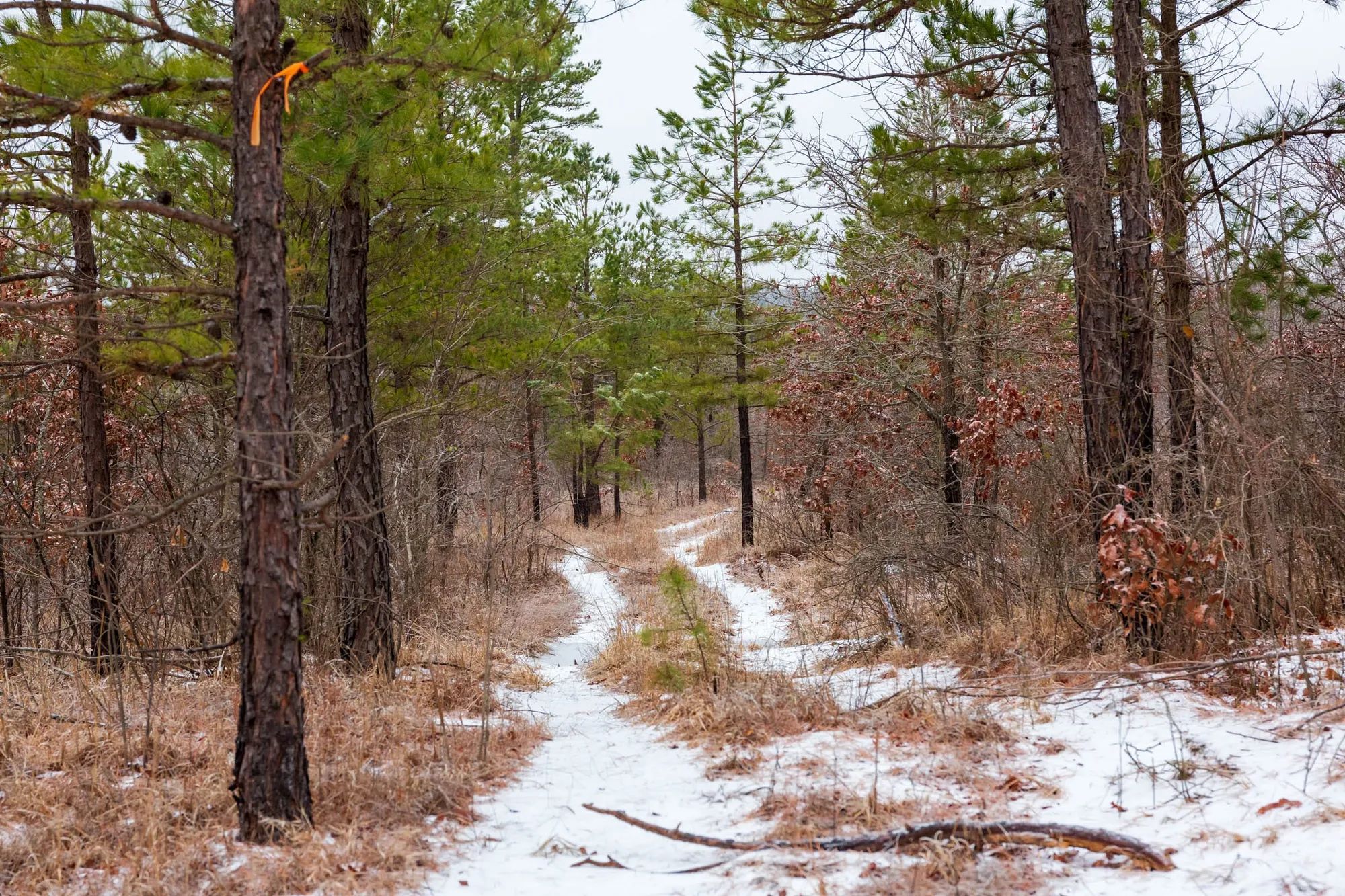 Stone Bridge Phase IV Tract 240 in Haskell County, OK