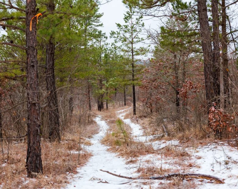 Stone Bridge Phase IV Tract 240 in Haskell County, OK