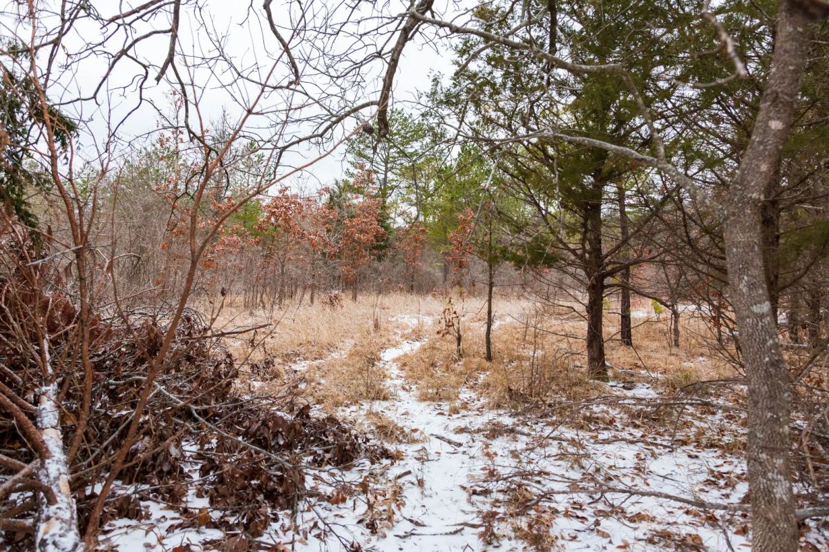 Decorative background for Stone Bridge Phase IV Tract 240 image 9