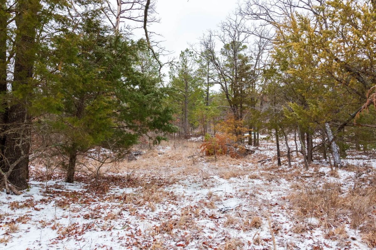 Decorative background for Stone Bridge Phase IV Tract 240 image 10
