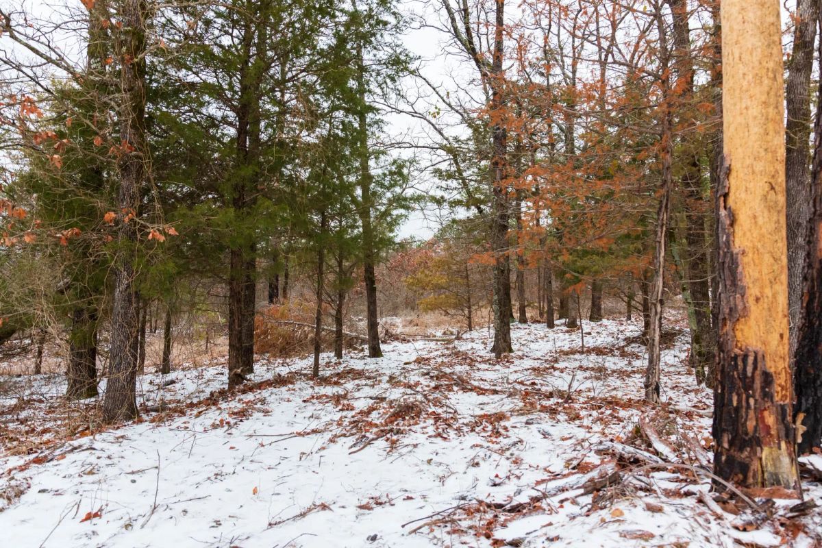 Decorative background for Stone Bridge Phase IV Tract 240 image 12