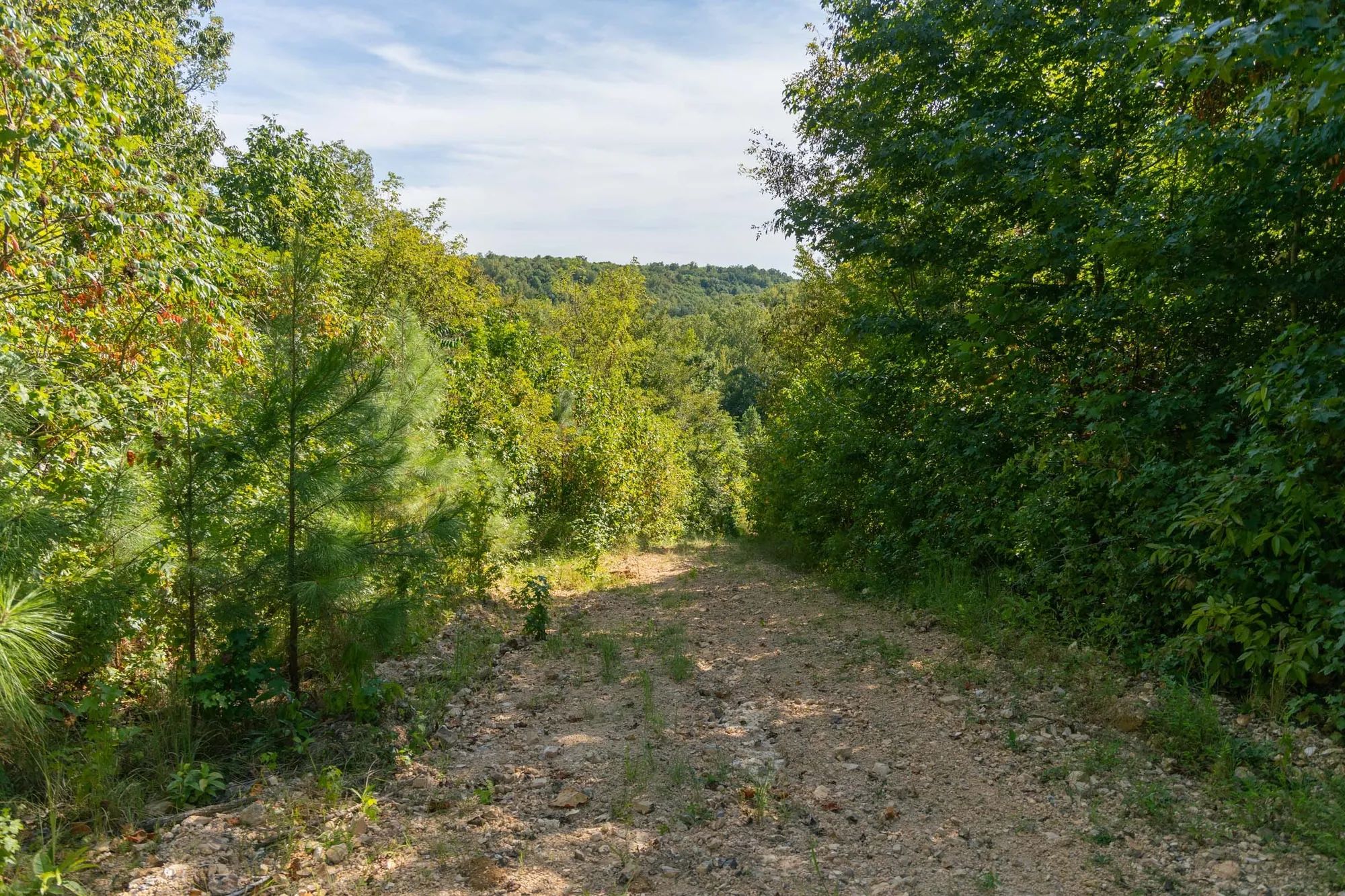 Big White Oak Tract 38 in Wayne County, TN