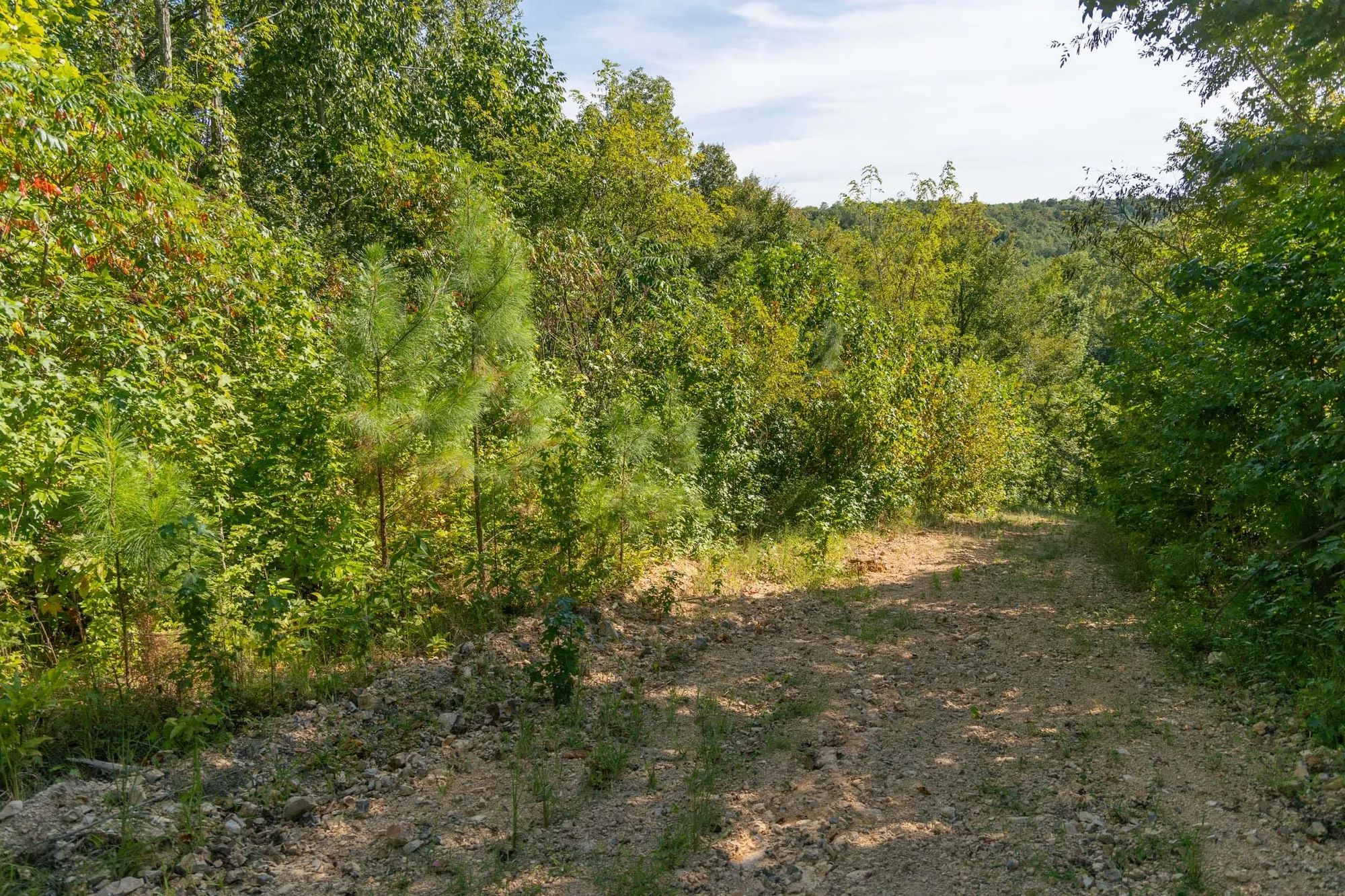 Big White Oak Tract 38 in Wayne County, TN