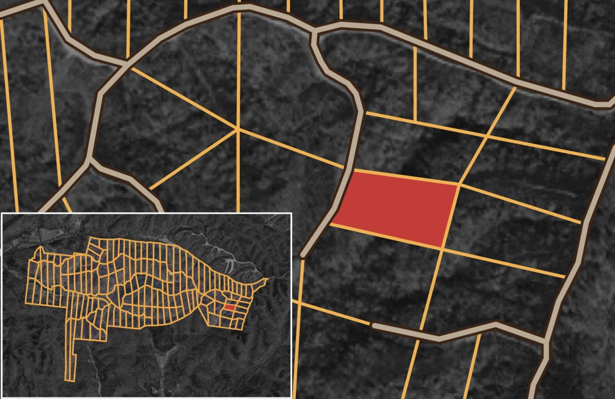 Decorative background for Big White Oak Tract 38 image 9