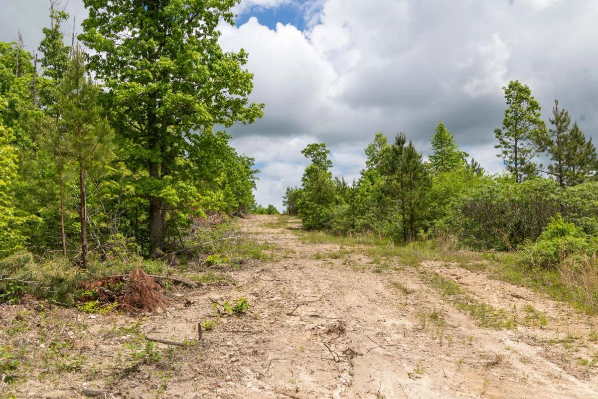 Sleepy Hollow Phase II Tract 78 - Image 2