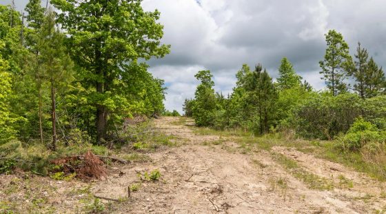 Sleepy Hollow Phase II Tract 78 in Texas County, MO