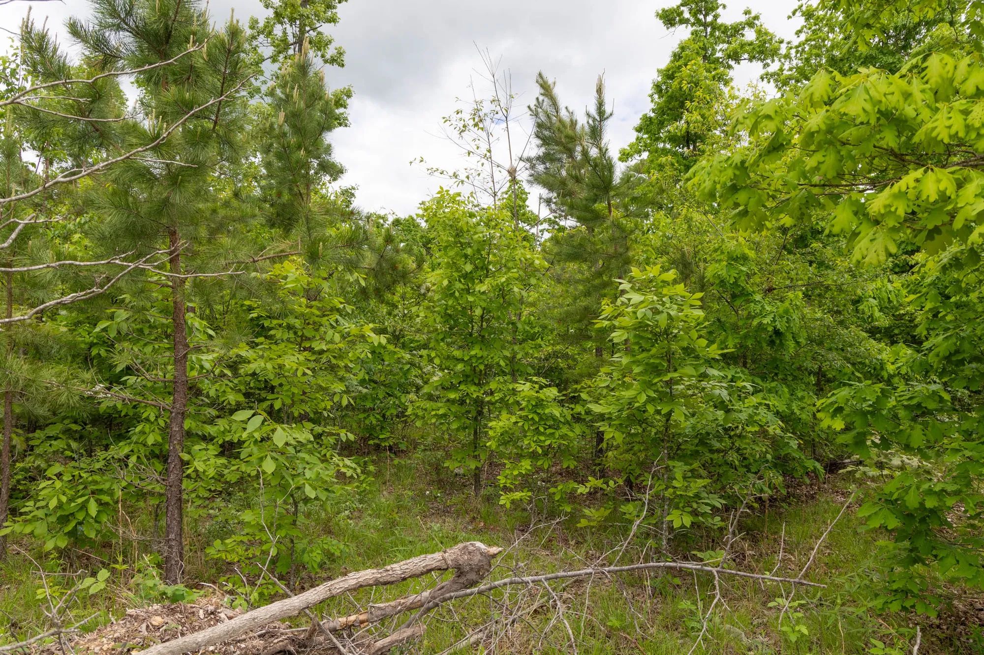 Sleepy Hollow Phase II Tract 78 in Texas County, MO