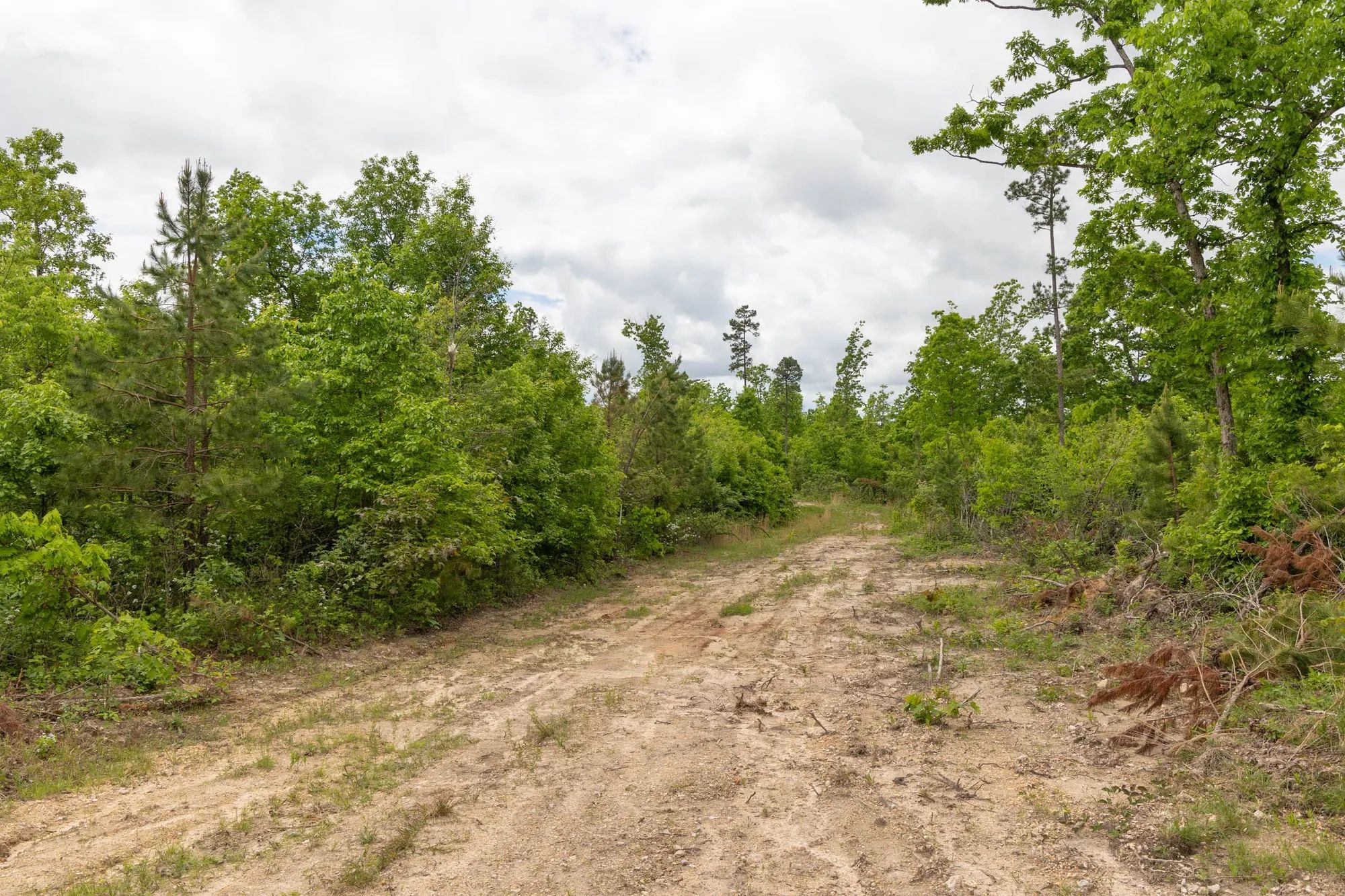 Sleepy Hollow Phase II Tract 78 in Texas County, MO