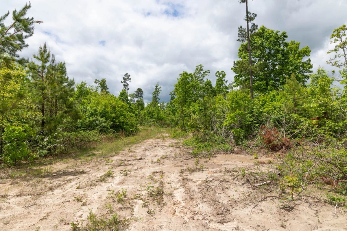 Decorative background for Sleepy Hollow Phase II Tract 78 image 9
