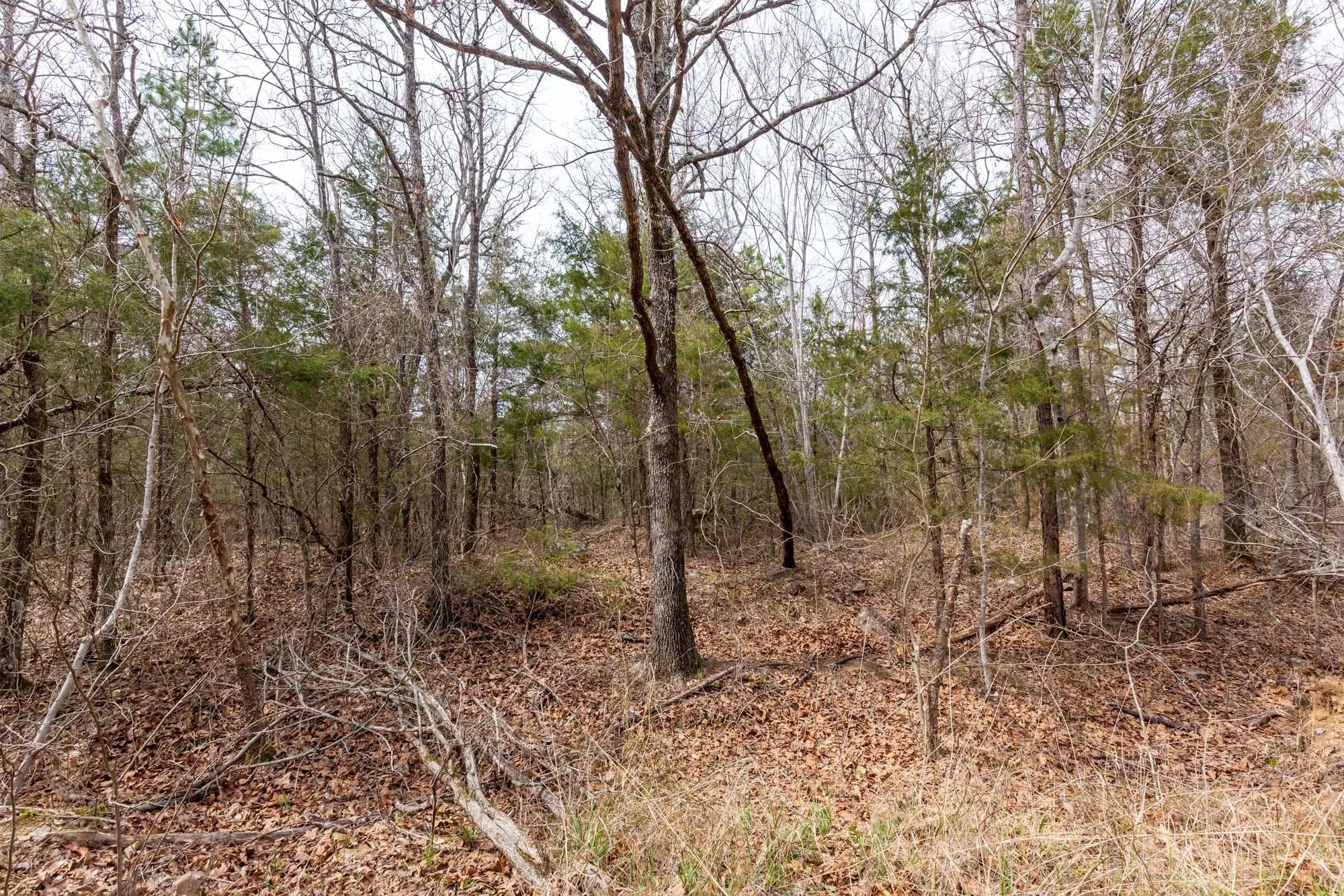 Stone Bridge Phase III Tract 150 in Latimer County, OK
