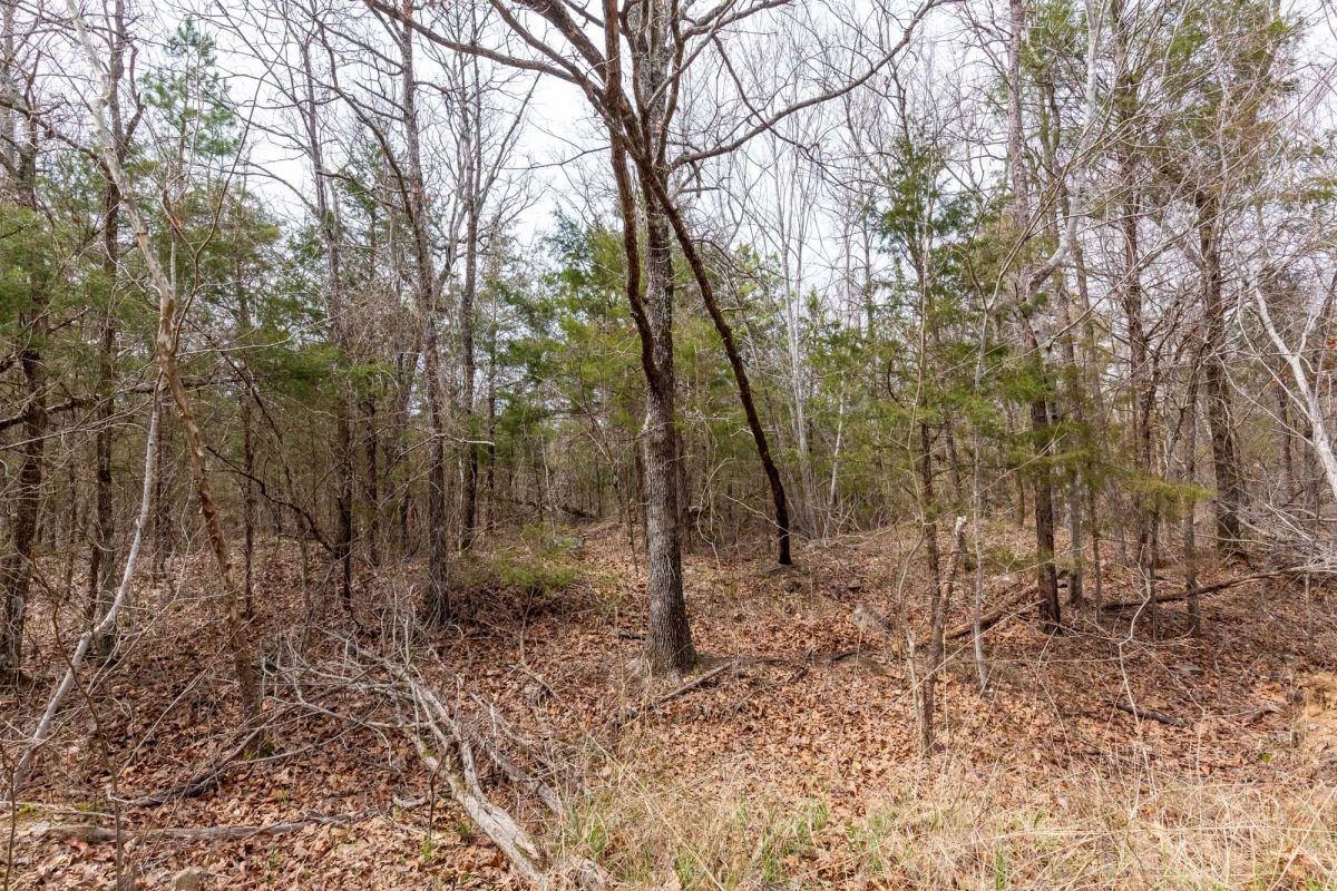 Stone Bridge Phase III Tract 150 - Image 3