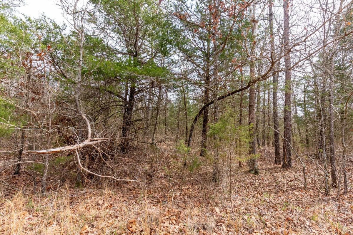 Stone Bridge Phase III Tract 150 - Image 4
