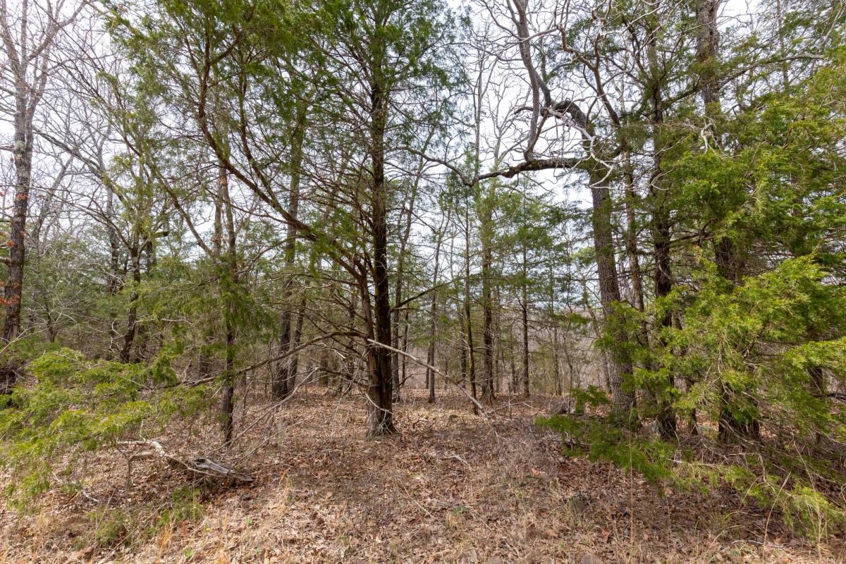 Decorative background for Stone Bridge Phase III Tract 150 image 5