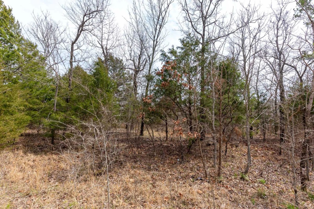 Decorative background for Stone Bridge Phase III Tract 150 image 6