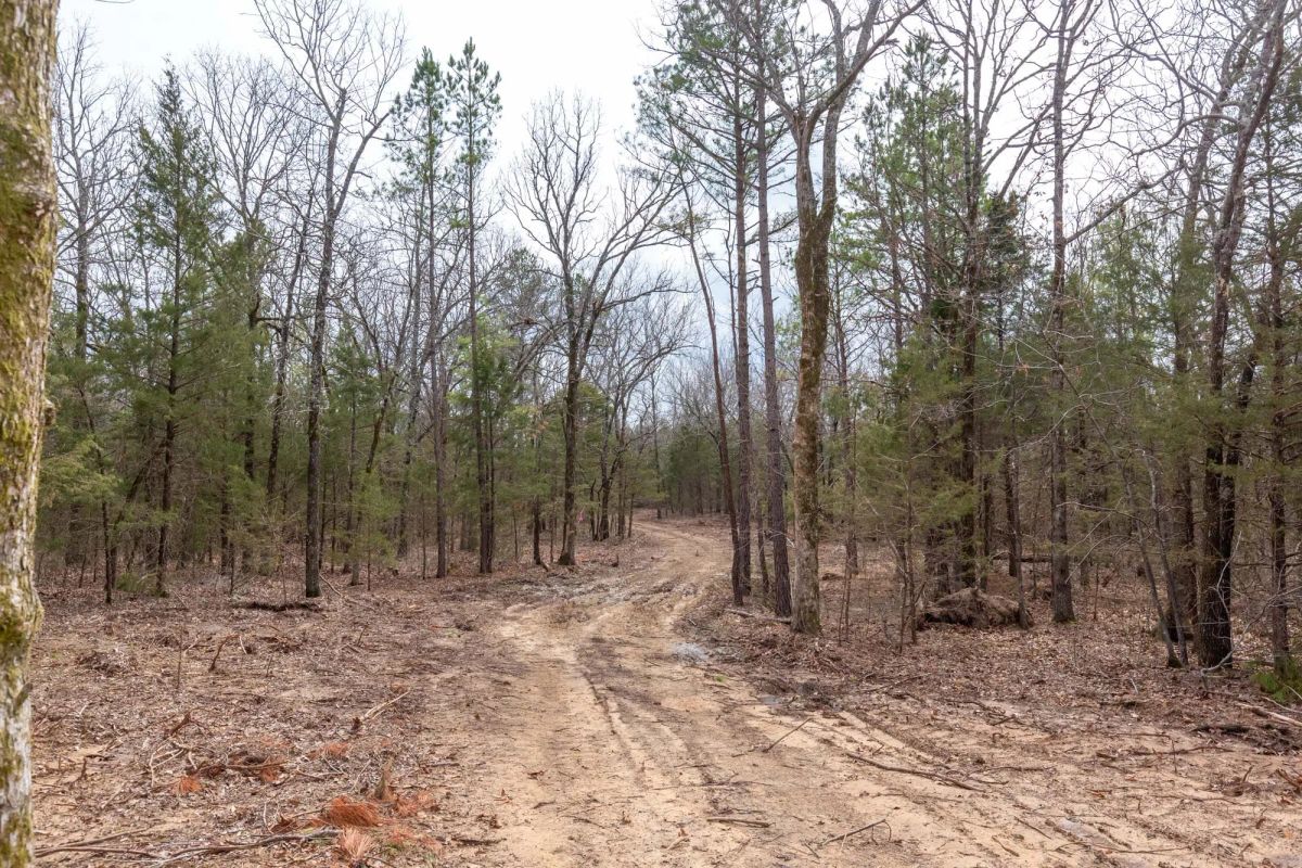 Decorative background for Stone Bridge Phase III Tract 150 image 7