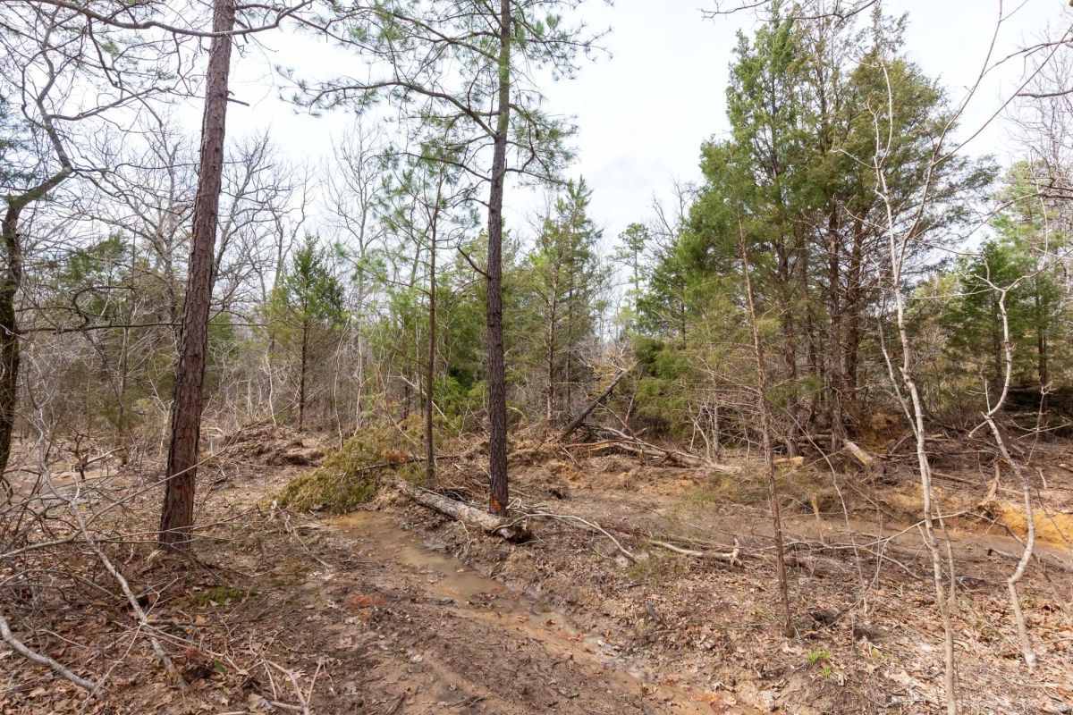 Decorative background for Stone Bridge Phase III Tract 150 image 8